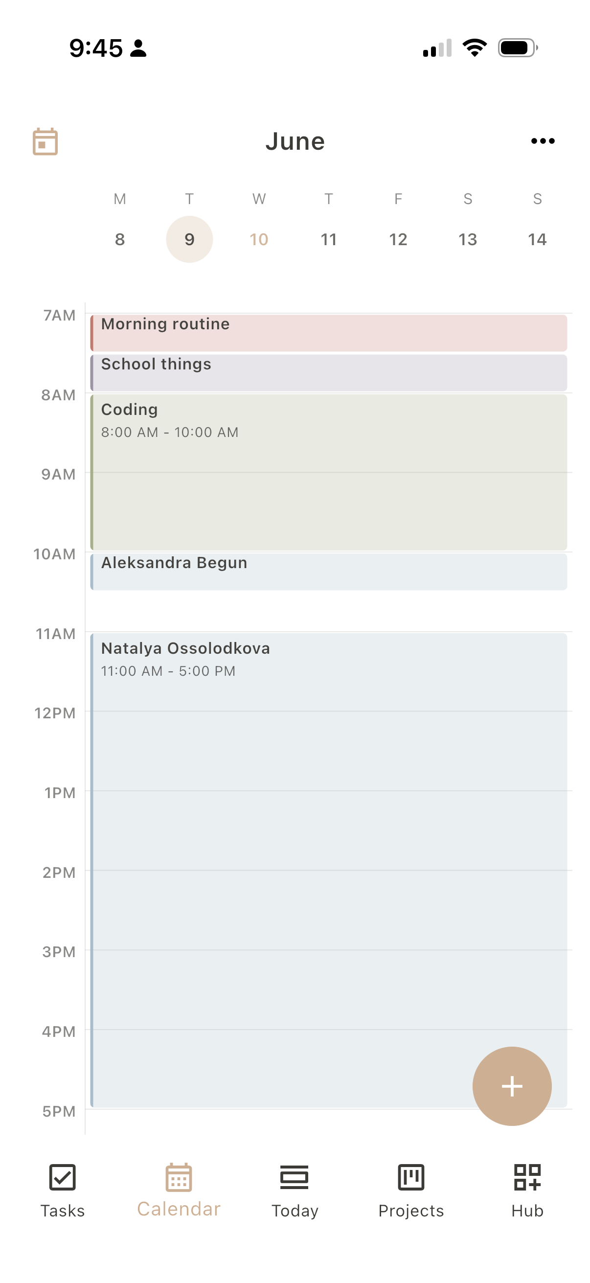 Dayfold Calendar, single day, colored by role